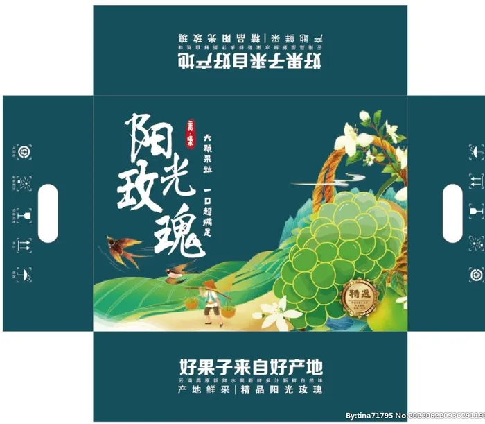 葡萄包装图片ai矢量模版下载