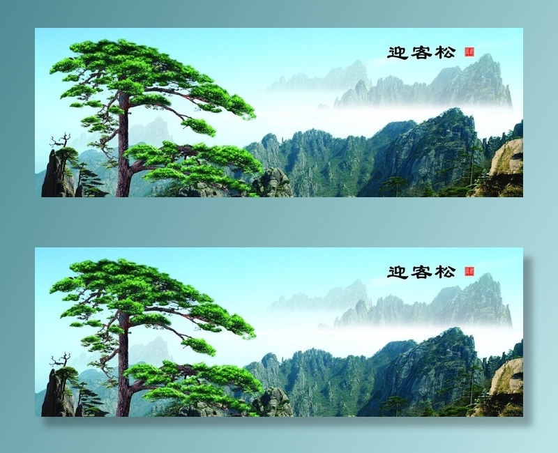 迎客松图片(2244x849)psd模版下载