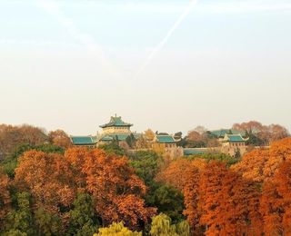 武汉大学樱顶老图书馆秋景图片