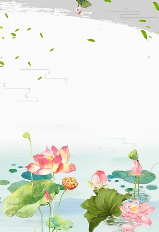 荷花插画海报图片