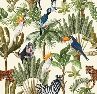 鹦鹉鸟斑马图片