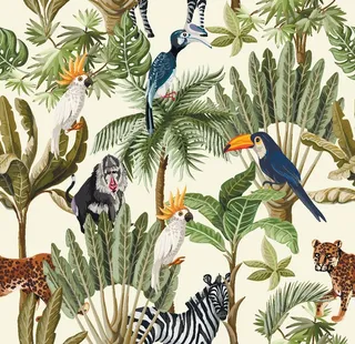 鹦鹉鸟斑马图片