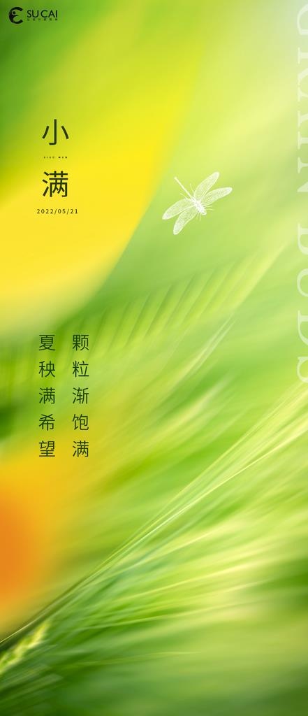 小满图片(1181x2557)psd模版下载
