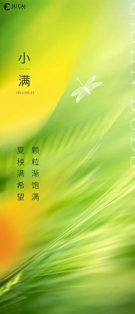 小满图片(1181x2557)psd模版下载