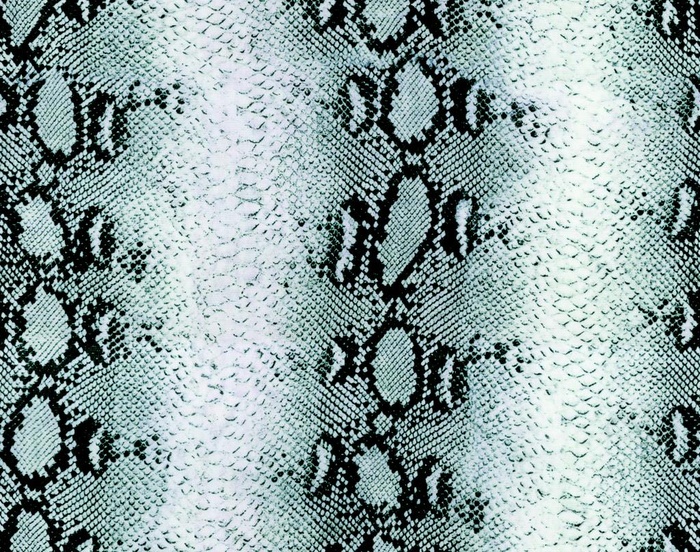 蛇纹图片