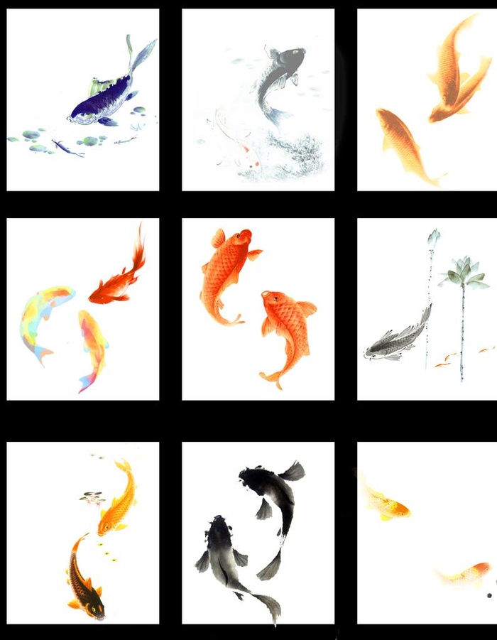 鱼 鲤鱼素材图片(2480x3066)psd模版下载