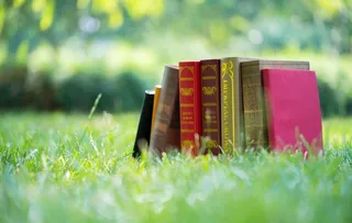 草地上书本图片