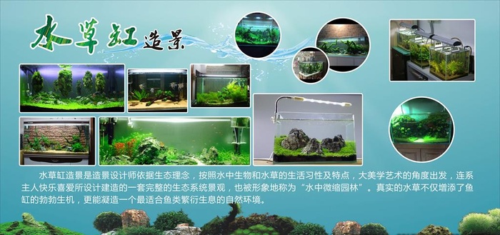 鱼缸造景 水草缸造景图片