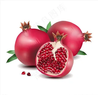 卡通石榴图片