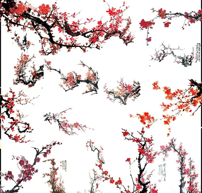梅花图片(5988x5906)psd模版下载