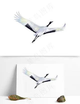 展翅飞翔的仙鹤手绘图片