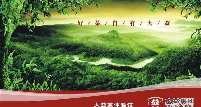 大益茶茶园图片cdr矢量模版下载