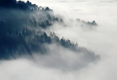 森林图片 森林图片