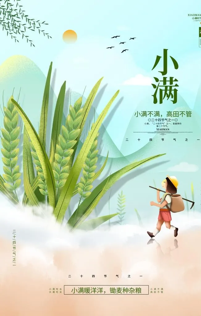 小满 图片(3543x5315)psd模版下载