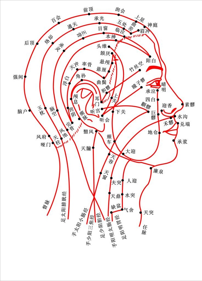 穴位图图片(7874x10498)psd模版下载