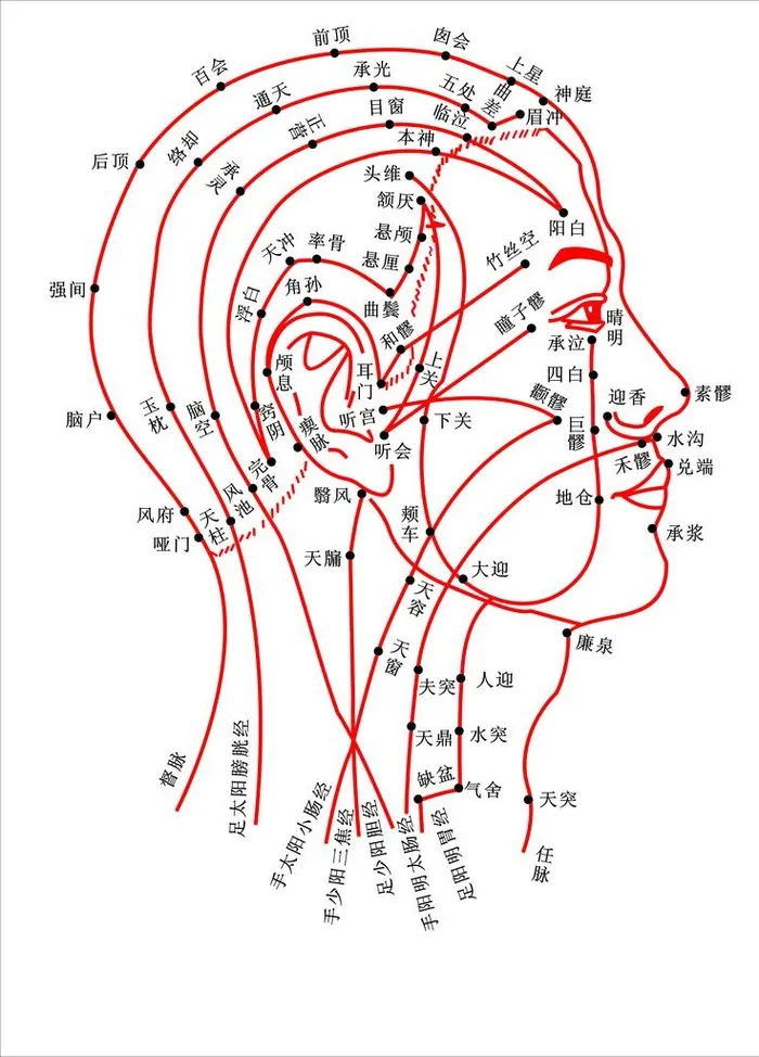 穴位图图片(7874x10498)psd模版下载