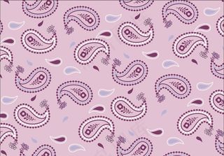 佩斯利旋螺纹腰果花图图片