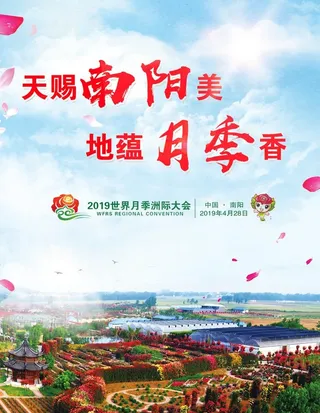南阳月季洲际大会图片