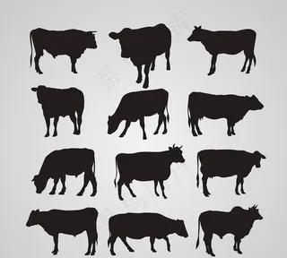 牛剪影图片