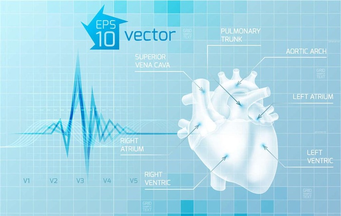心脏 心率图图片ai矢量模版下载
