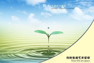 书籍画册封面图片