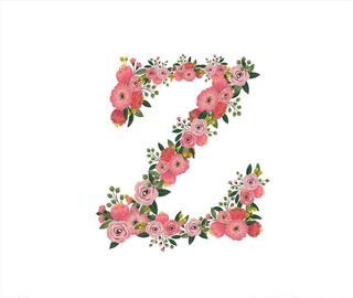 花卉字母Z图片