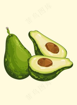 手绘矢量牛油果图片