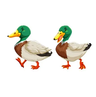 矢量图手绘卡通绿头鸭图片