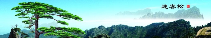 迎客松背景墙图片