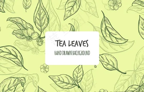 手绘风格茶叶背景图片 手绘风格茶叶背景图片