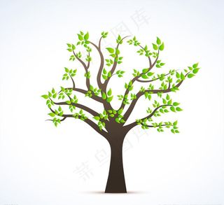 春天绿叶树木图片