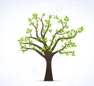 春天绿叶树木图片