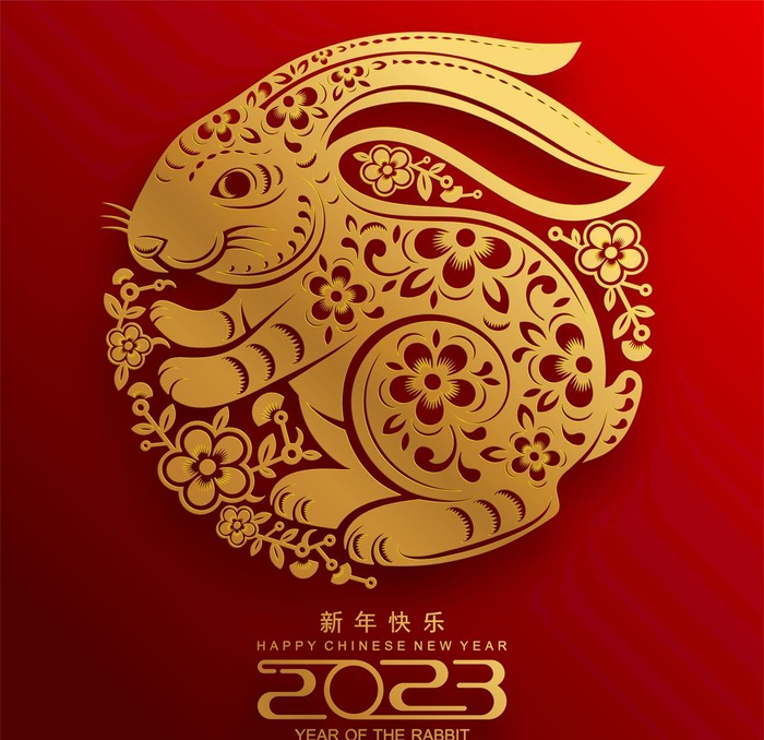 兔子图片