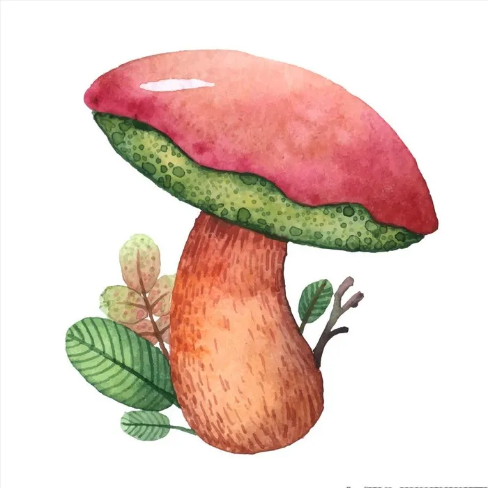 蘑菇插画图片ai矢量模版下载