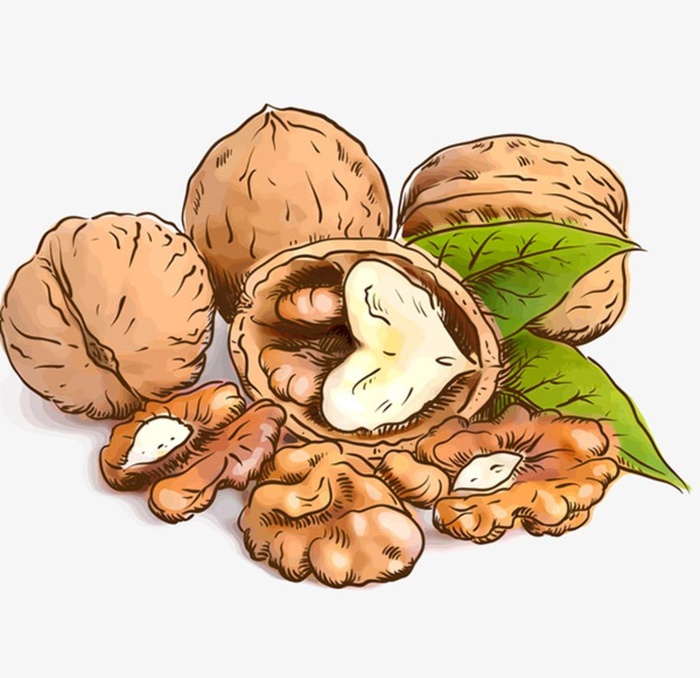 坚果核桃仁图片