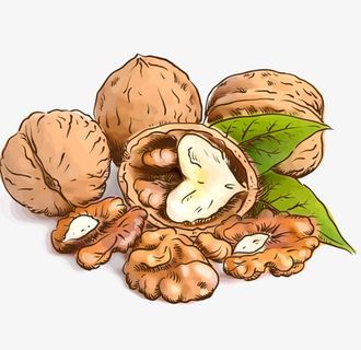 坚果核桃仁图片