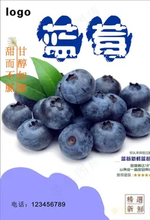 蓝莓海报图片