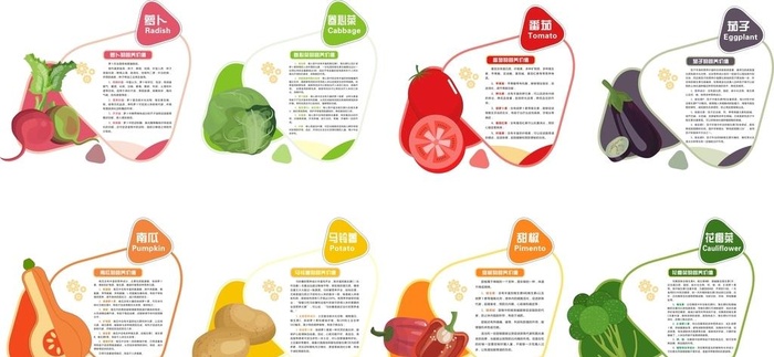 蔬菜营养介绍图片cdr矢量模版下载