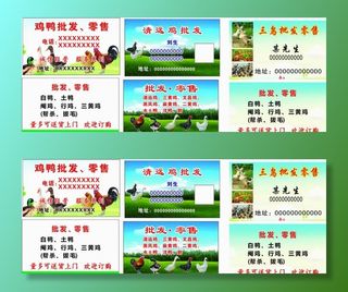 鸡鸭批发名片图片