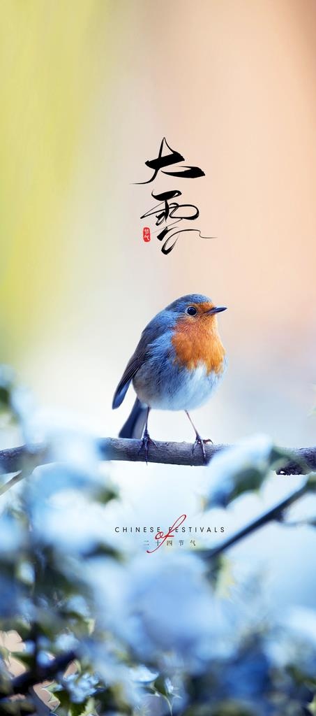 大雪节气海报图片(1063x2244)psd模版下载