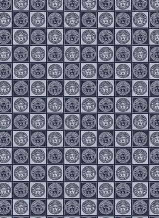 范思哲 VERSACE图片