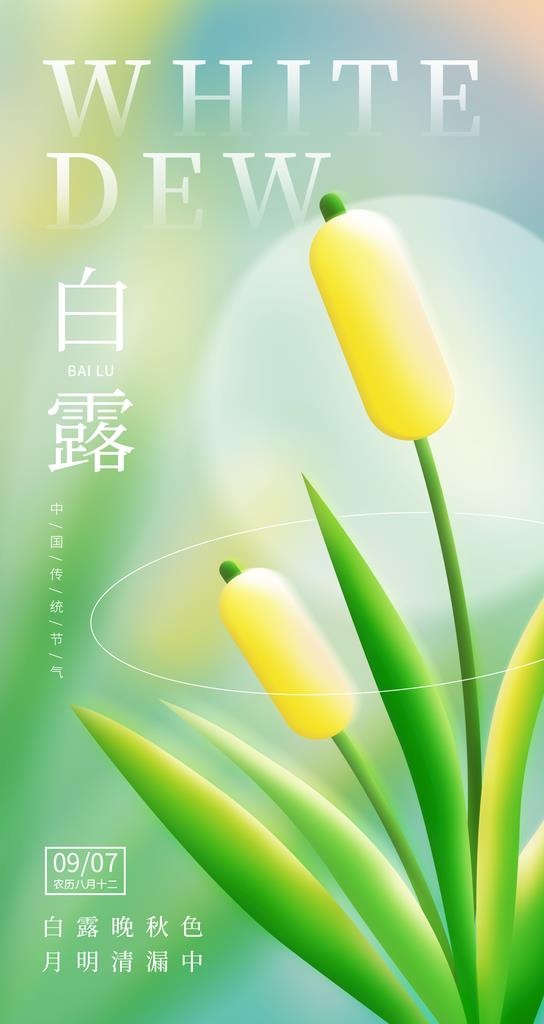 白露海报图片(1242x2208)psd模版下载