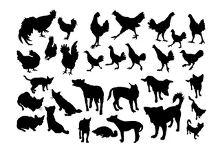 动物剪影 图片