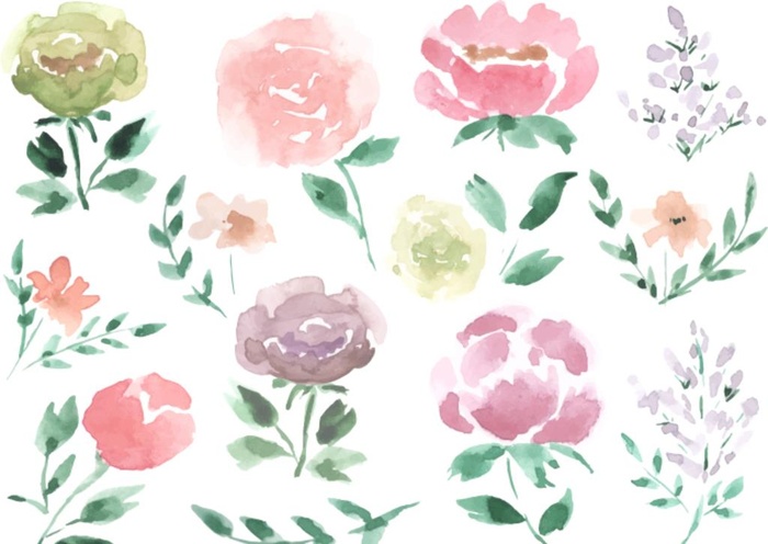 水彩花卉图片