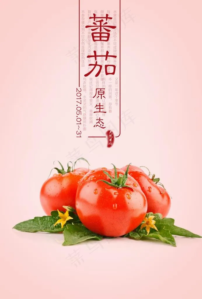 番茄海报图片psd模版下载