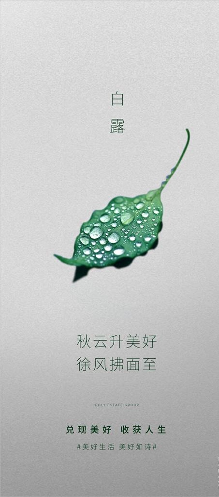 白露图片ai矢量模版下载