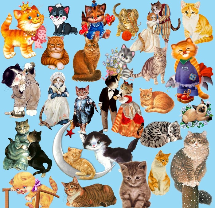 卡通猫咪图片(1575x1575)psd模版下载