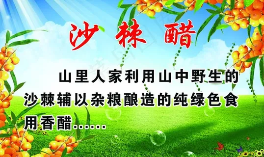 沙棘醋图片 沙棘醋图片