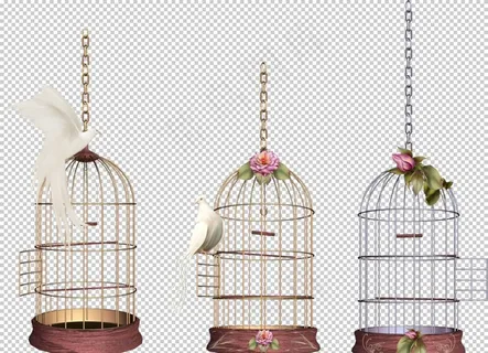 鸟笼图片