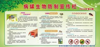 病媒生物宣传栏图片